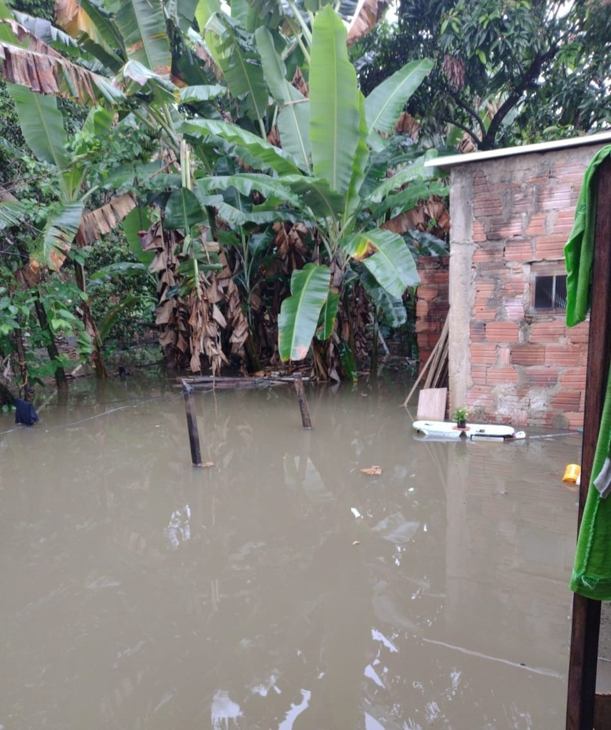 Chuva Deixa 25 Pessoas Desabrigadas Após Alagamento Em Cachoeira Paulista Vale Do Paraíba E 