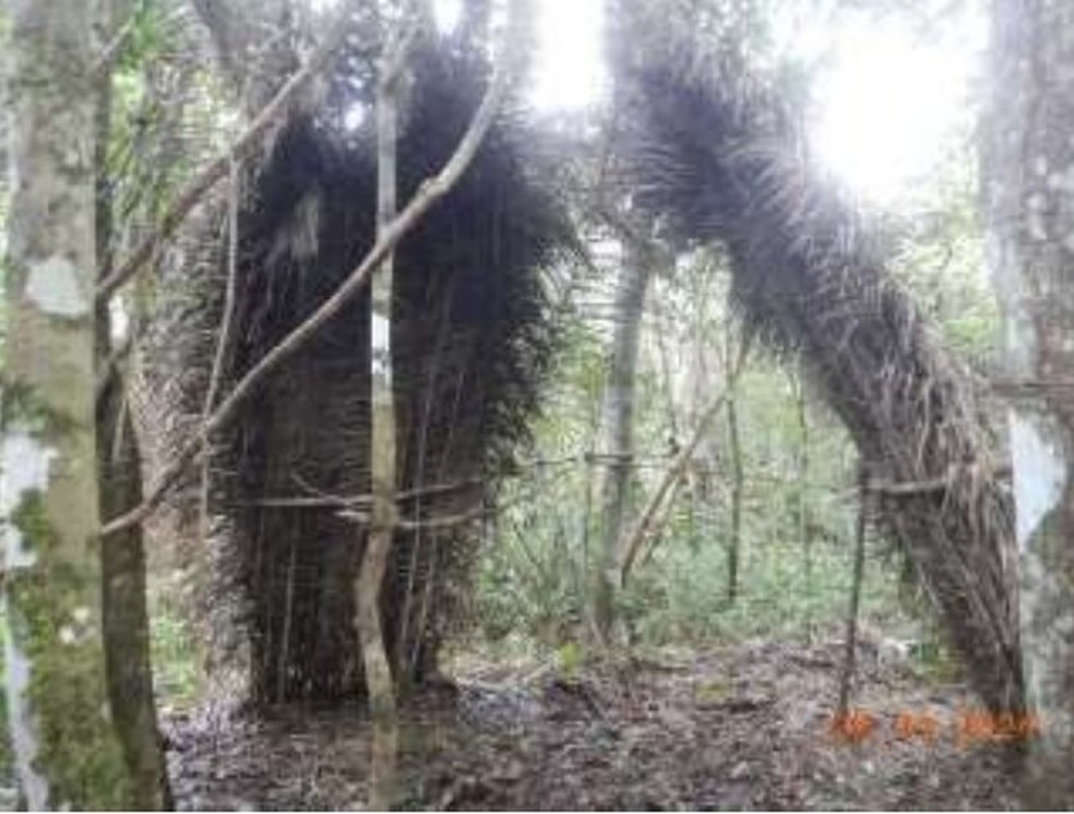 Abrigos temporários de indígenas isolados identificados pela equipe da Funai — Foto: Reprodução CGIIRC/Funai