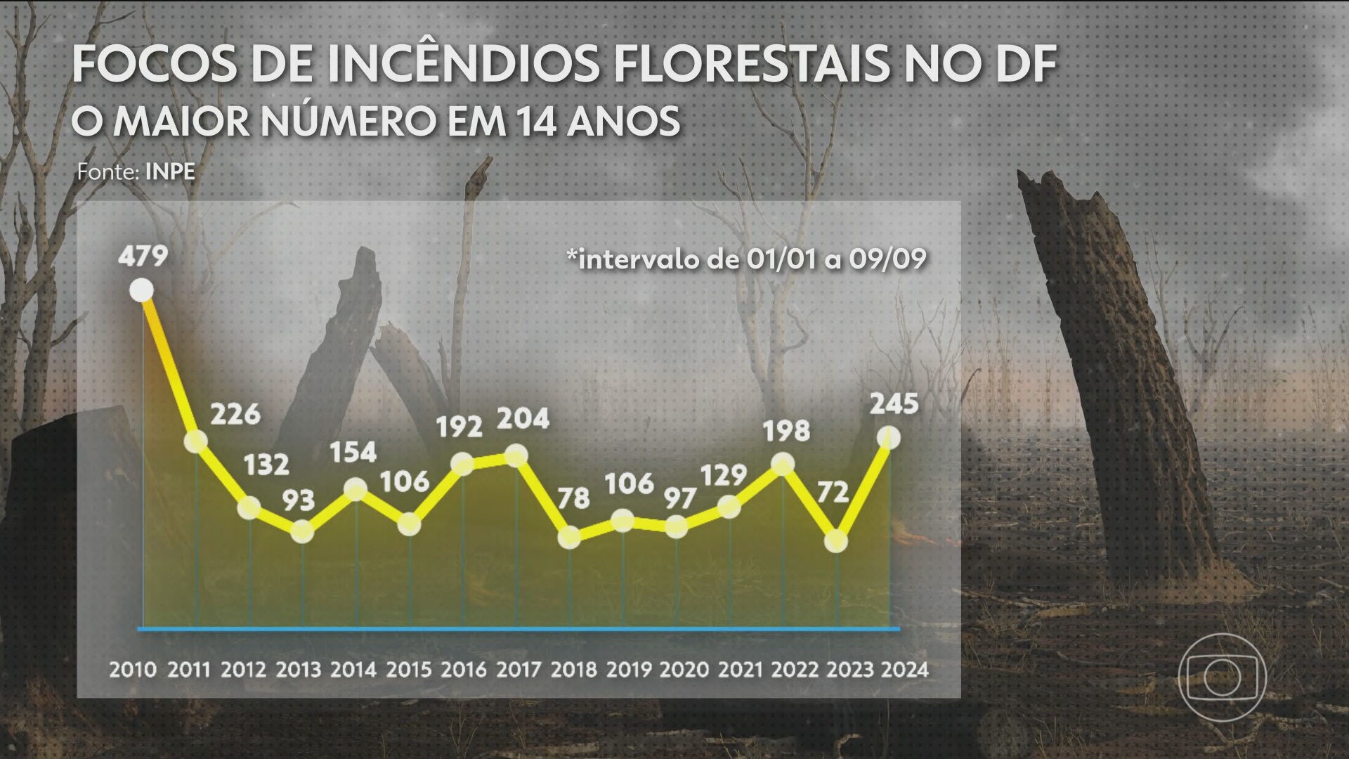 Queimadas: cerca de 30 incêndios atingem o DF nesta quarta-feira; veja imagens