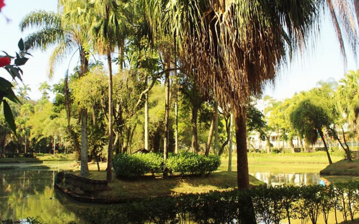 Parque da Lajinha, Museu Mariano Procópio e shoppings terão ‘Vacimóvel’ em janeiro; veja programação
