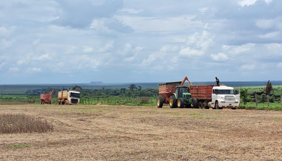 As ações começaram por Mato Grosso devido aos altos índices de destruição da floresta — Foto: Ibama