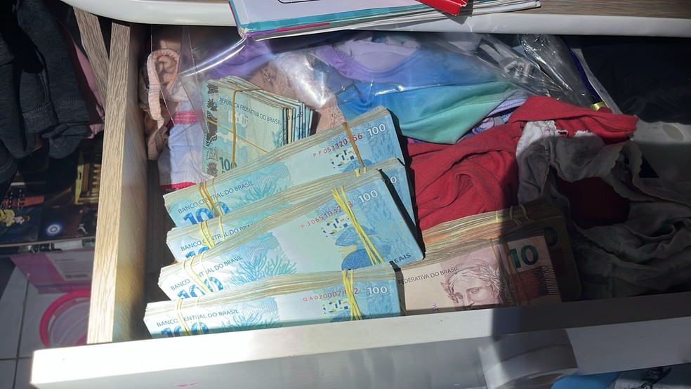 Polícia apreendeu uma grande quantidade de dinheiro — Foto: Reprodução