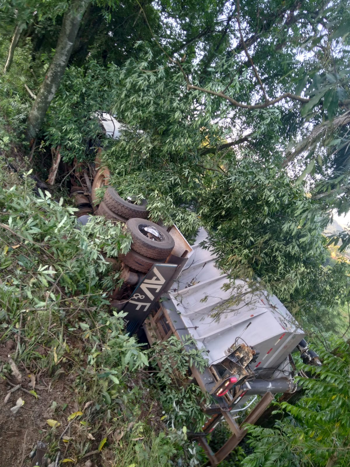 Carro com jovens colide contra caminhão e todos os três ocupantes morrem em SC