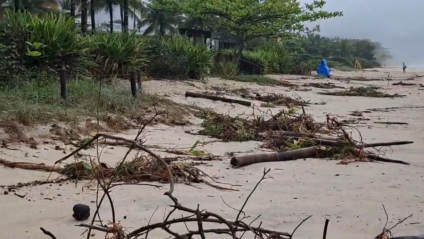 Marinha amplia alerta de ressaca do mar até quinta-feira; Maresias tem troncos e vegetação arrastados por ondas