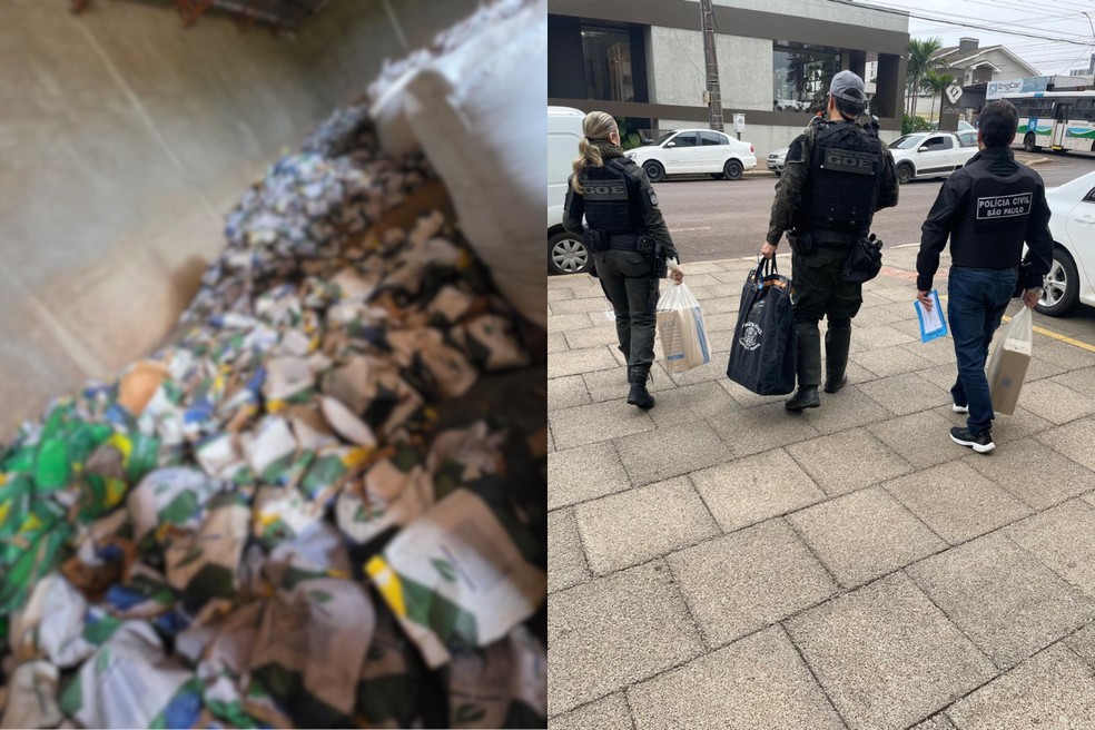 Polícia aprende carga de sementes avaliada em mais de R$ 1 milhão em Presidente Venceslau (SP) — Foto: Reprodução/Polícia Civil