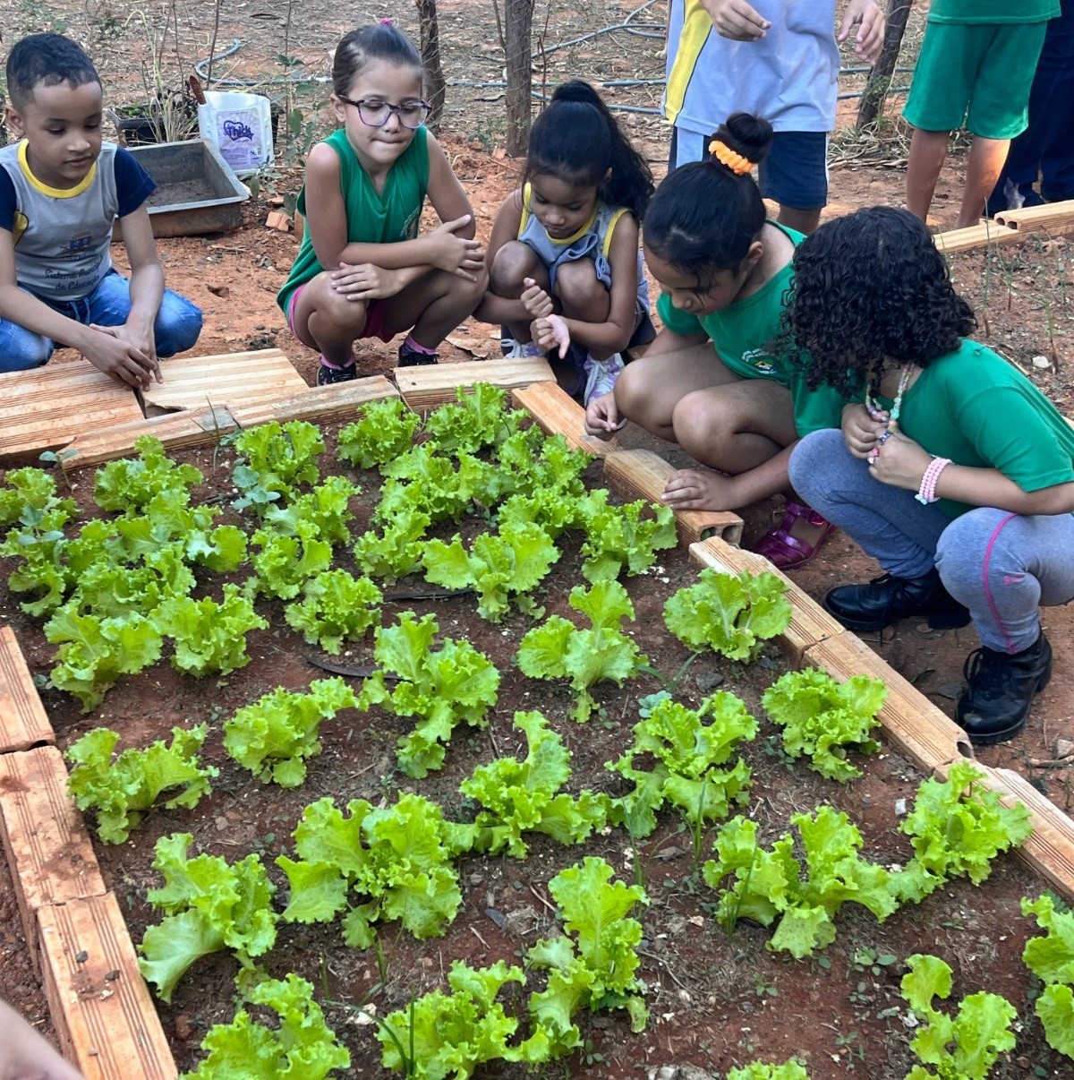 Montes Claros é destaque nacional em educação alimentar