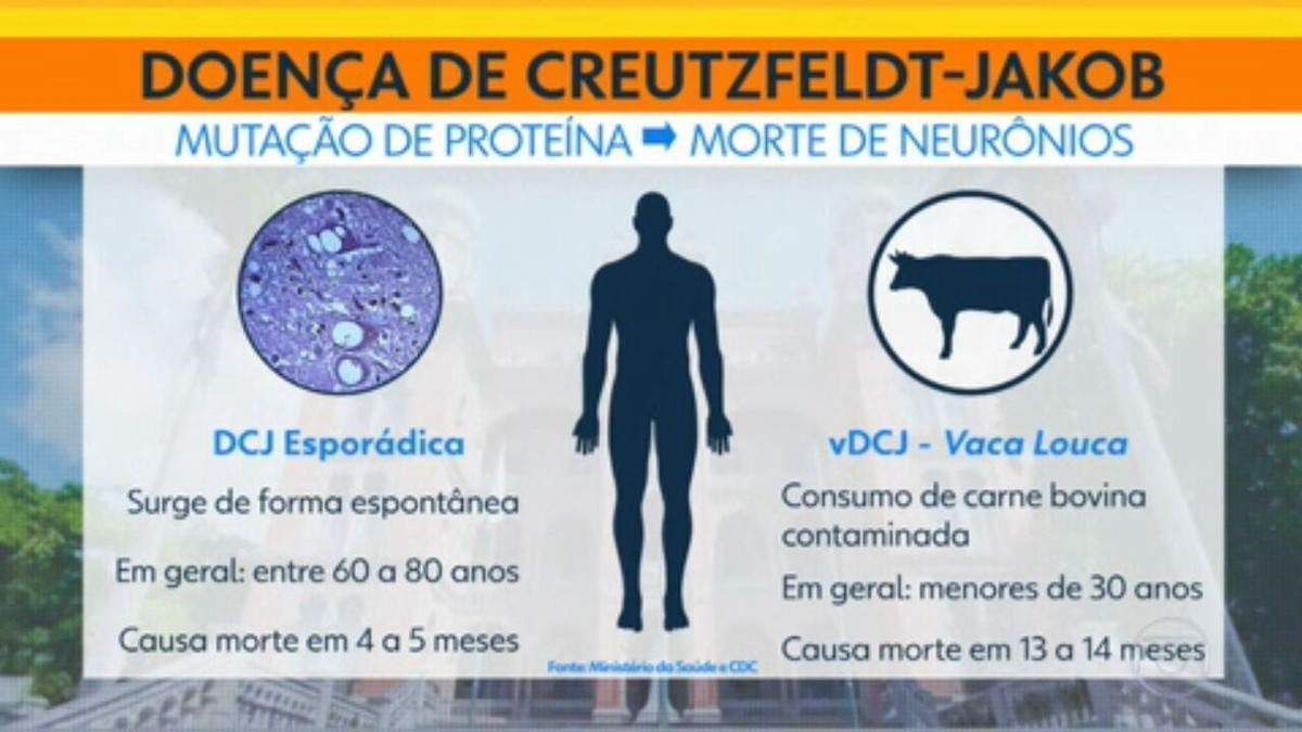 Suspeita de vaca louca em Minas afeta mercado da carne no país : r/brasil