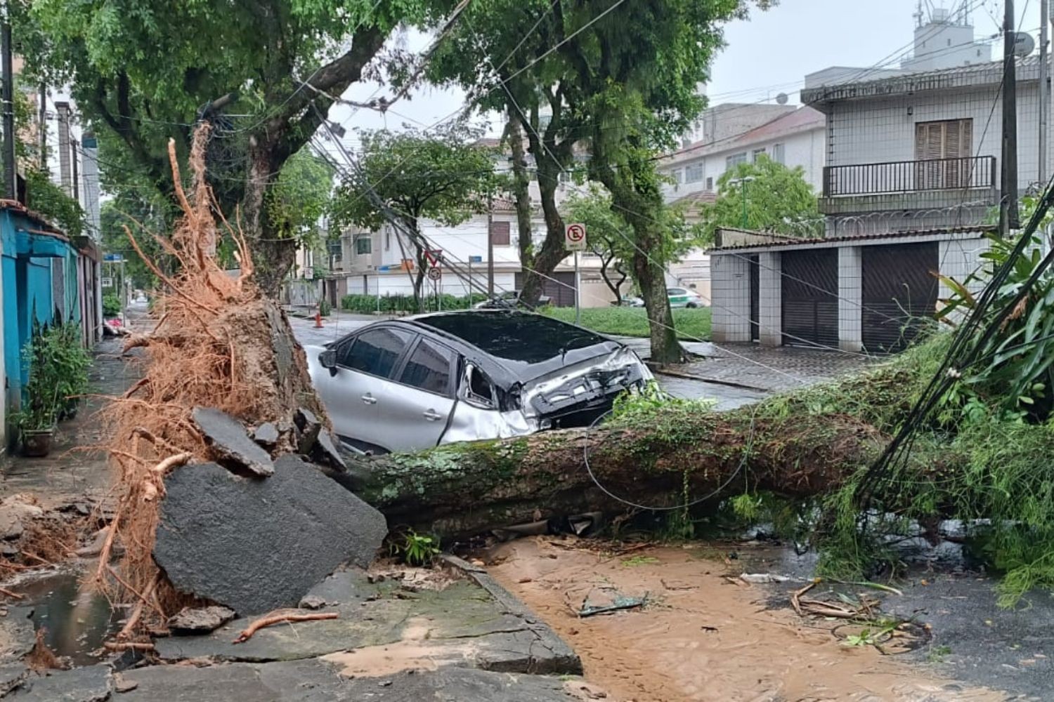 Rajadas de vento ultrapassam 130 km/h e deixam rastros de destruição no litoral de SP