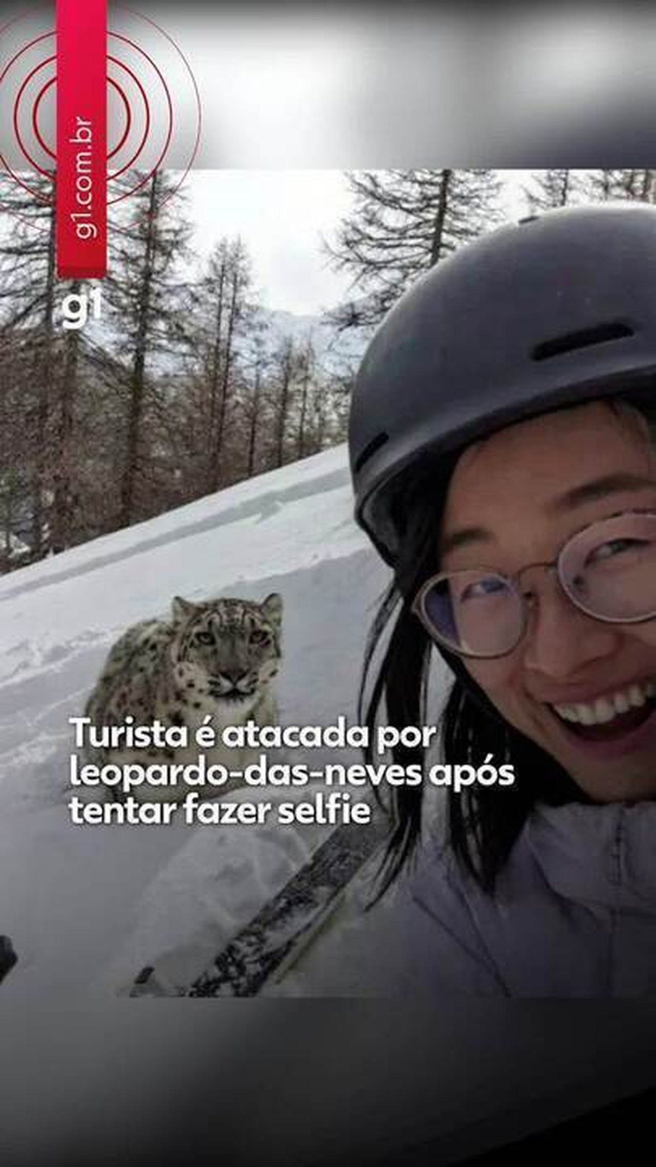 Turista é atacada por leopardo-das-neves após tentar tirar selfie em estação de esqui na China; VÍDEO