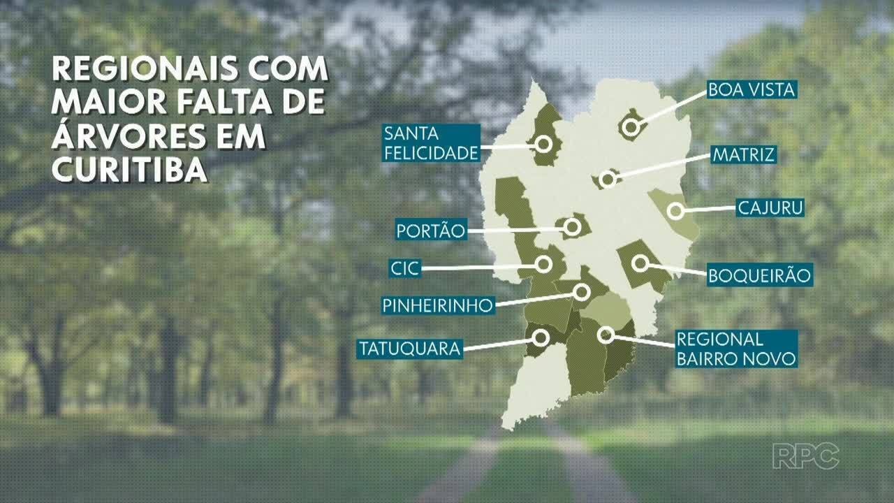 14354286 Curitiba tem déficit de mais de 260 mil árvores, aponta levantamento; saiba como solicitar plantio na sua rua