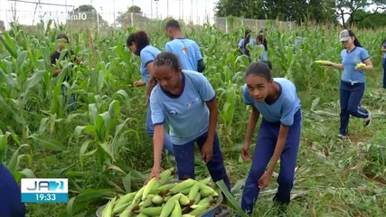 Veja os destaques do JC neste domingo (22)