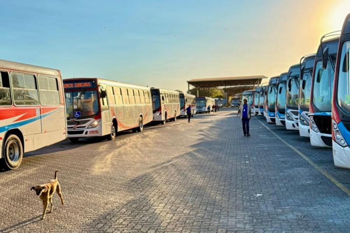 Campo Grande amanhece sem ônibus por greve de funcionários, mas circulação já voltou ao normal