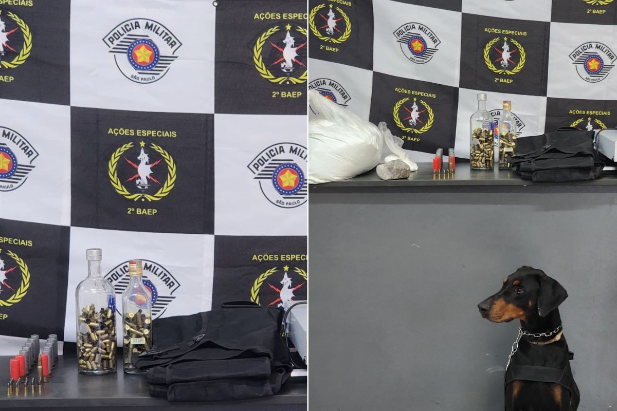 Baep apreende drogas e munições com auxílio de cão farejador em condomínio no litoral de SP; VÍDEO