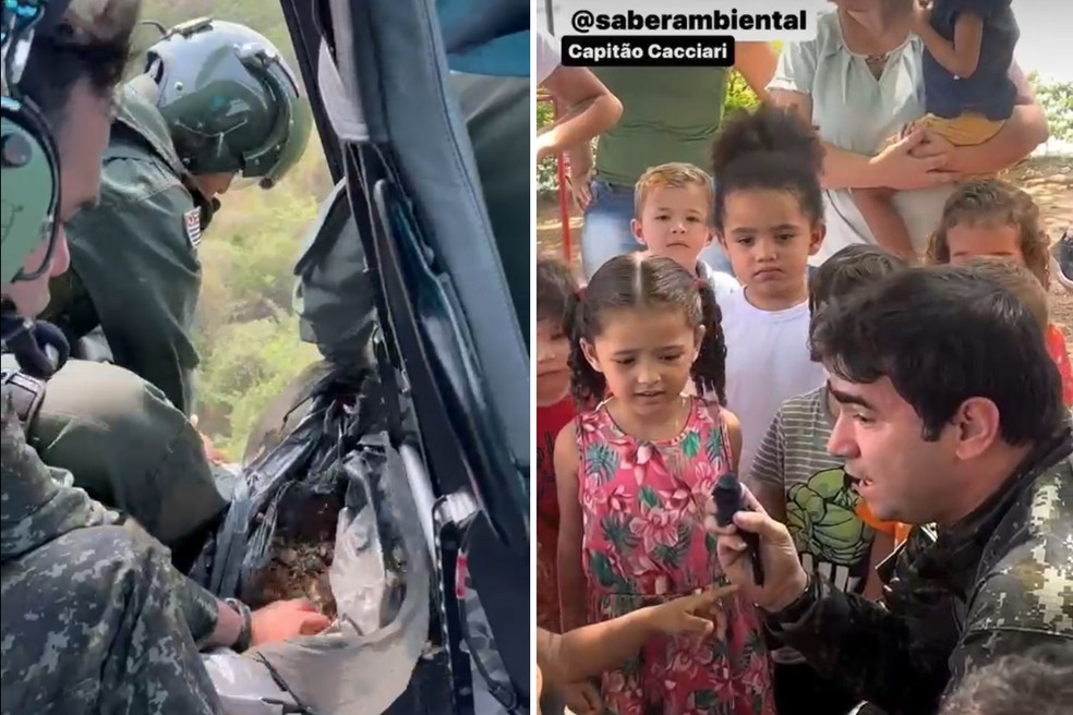 Capitão divulga ações ambientais e reforça a importância do cuidado com a natureza e os animais — Foto: Reprodução/Júlio Cacciari