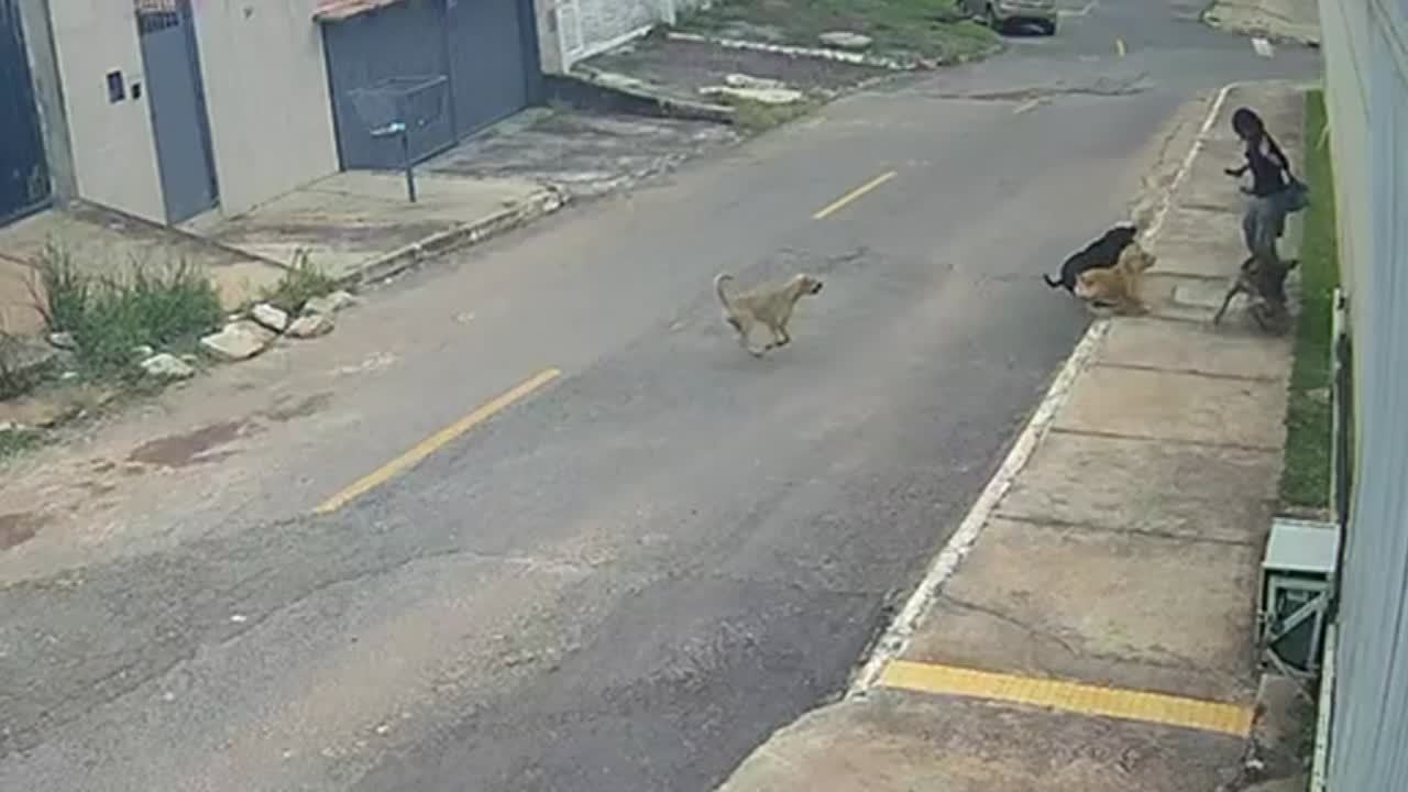 VÍDEOS: DF2 de sábado, 21 de fevereiro de 2026