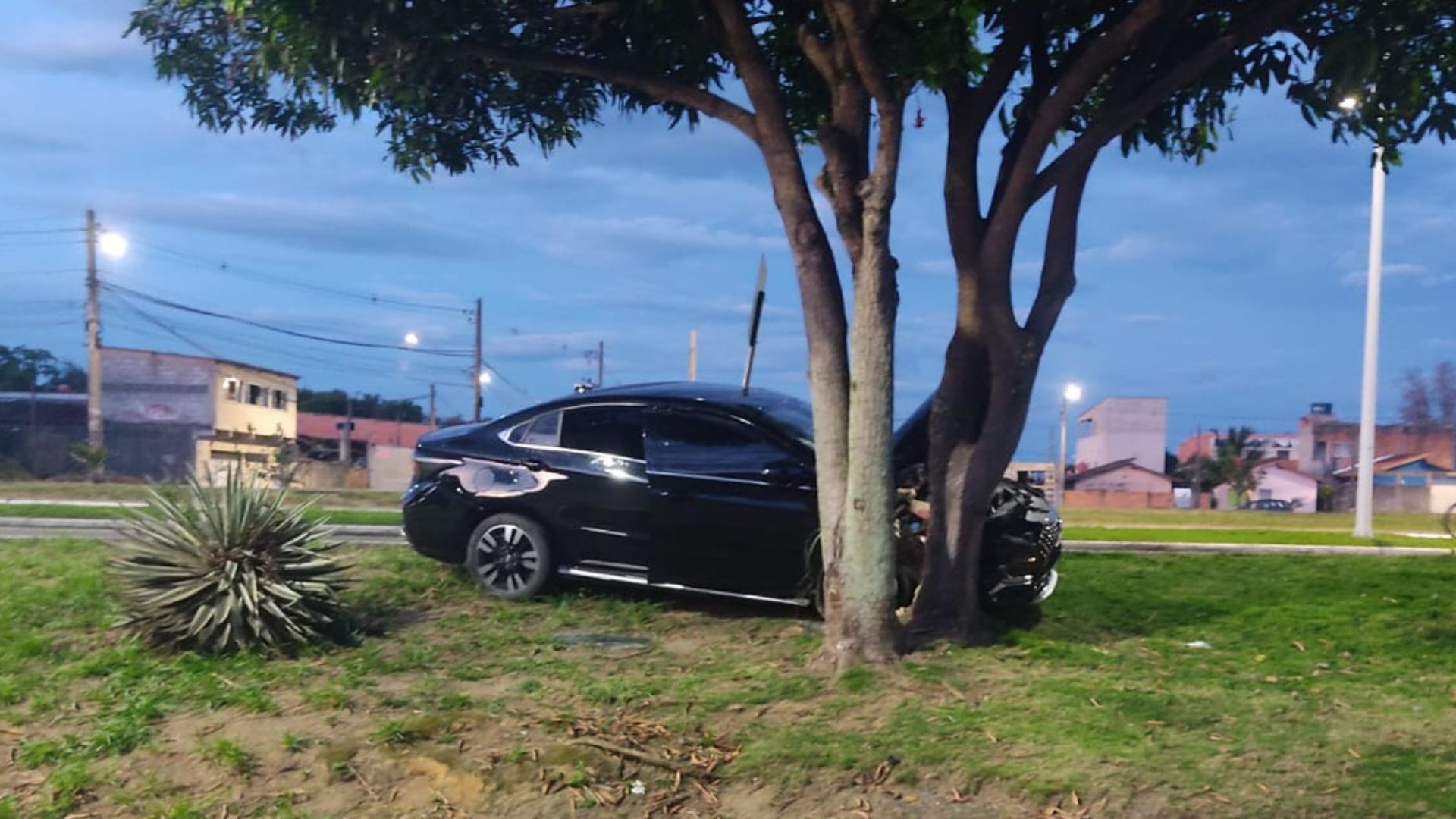 Motorista de app é rendido durante corrida, baleado e morto após suspeito bater com o carro em árvore na Serra