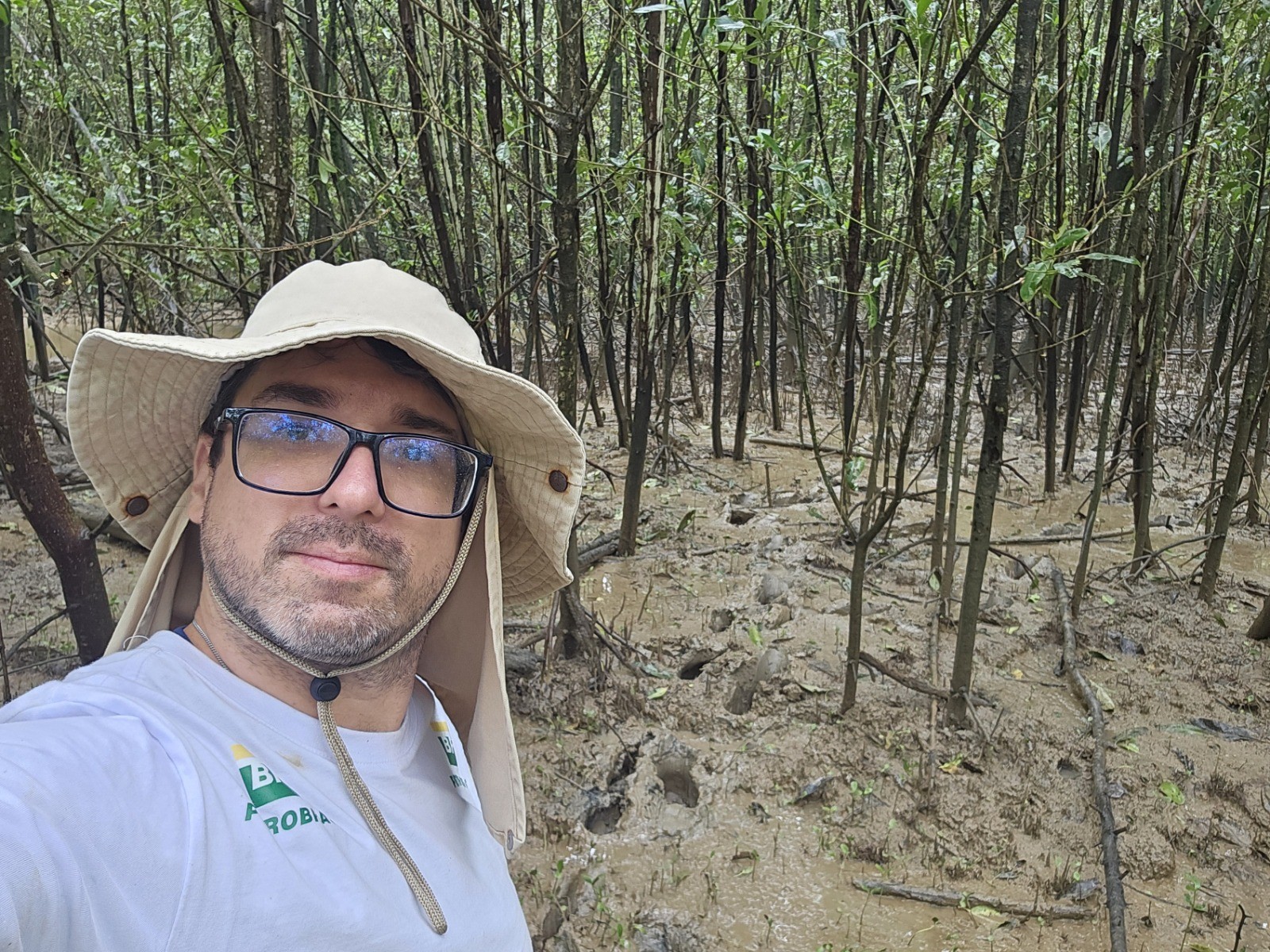 Projeto usa aplicativo para monitorar andadas reprodutivas do caranguejo-uçá, no Amapá