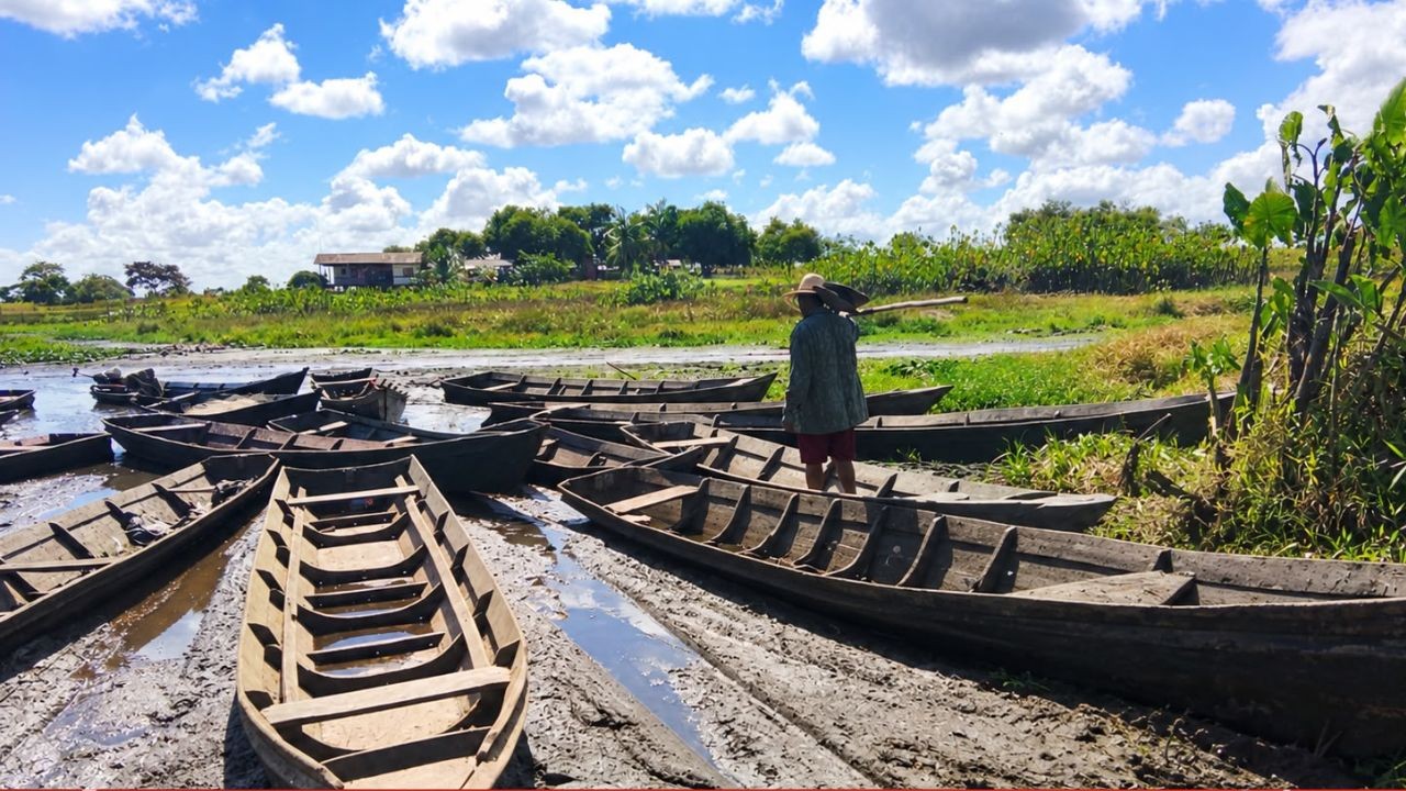 Com seca severa e morte de peixes, Tartarugalzinho entra em estado de emergência no Amapá