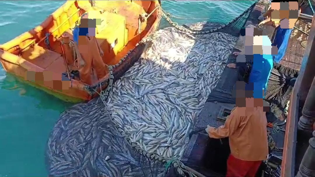 Polícia apreende 33 toneladas de peixes e multa pescadores em R$ 26,6 milhões por crime ambiental no Litoral Norte de SP