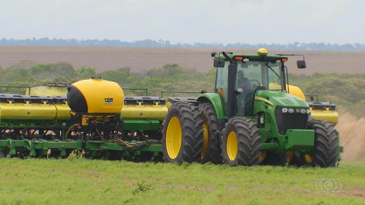 VÍDEOS: Jornal do Campo de domingo, 17 de novembro de 2024