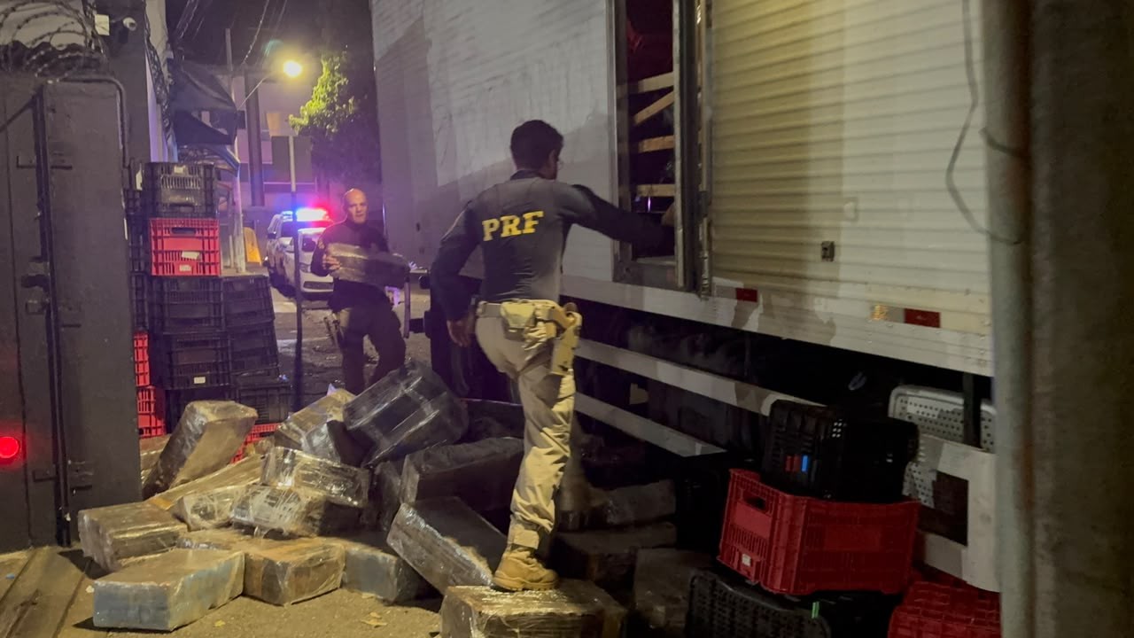 PRF e PMR apreendem mais de três toneladas de maconha, eletrônicos e anabolizantes na BR-262 em MG