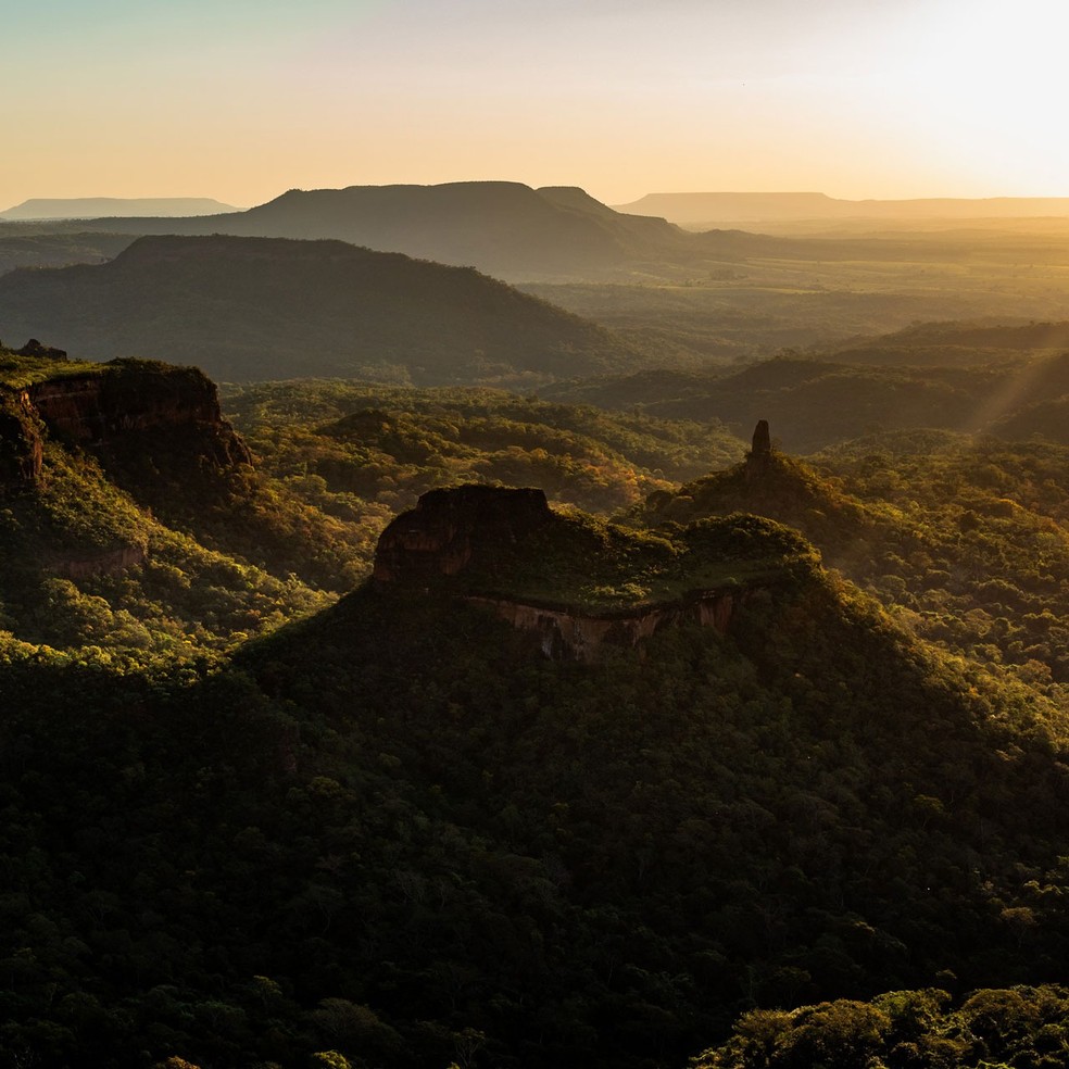 Especial Piauí 200 anos: belezas naturais, empreendedorismo