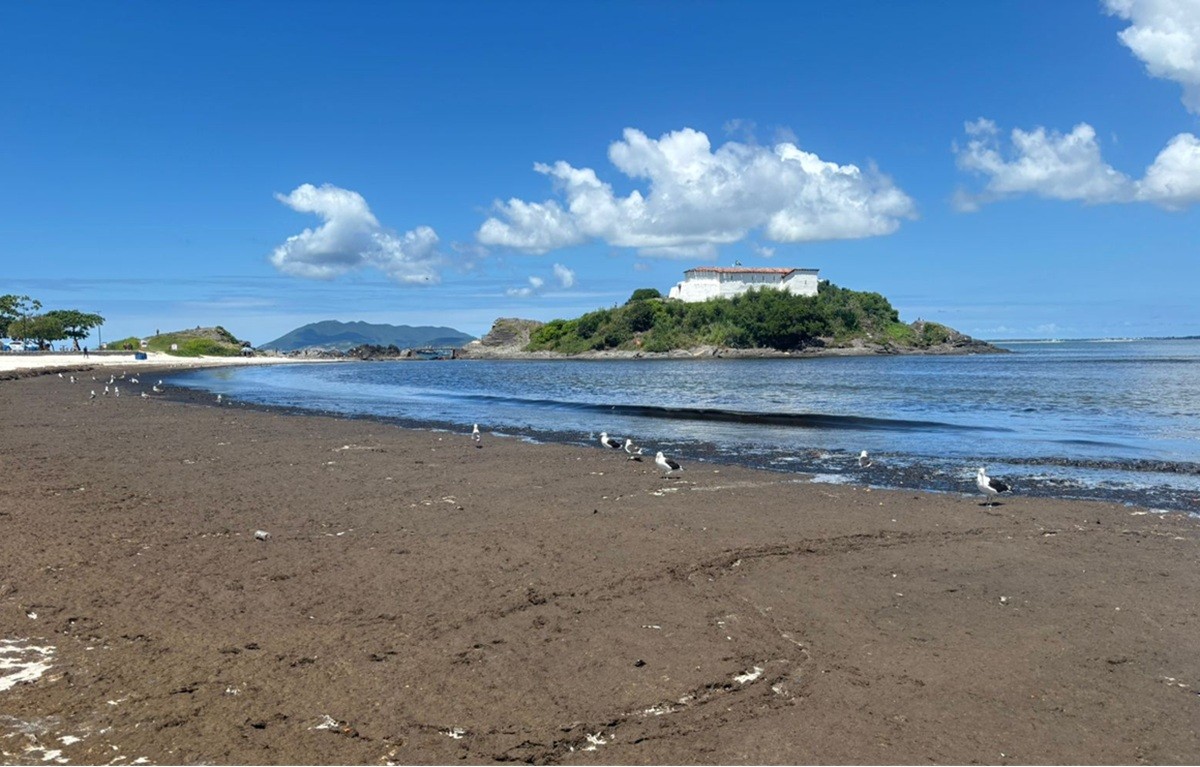 Algas marinhas mudam cenário da Praia do Forte, em Cabo Frio, e causam forte odor