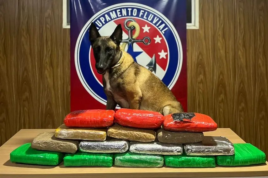 Agentes de segurança apreendem mais de 16 kg de drogas na Base Candiru em Óbidos