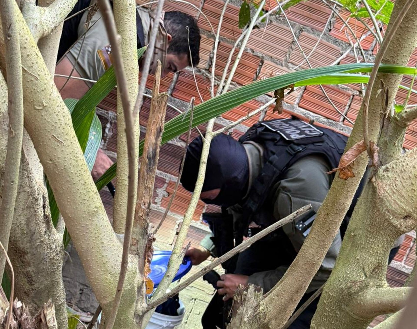 Homem morre e quatro suspeitos são presos durante operação contra o  tráfico de drogas em Estância