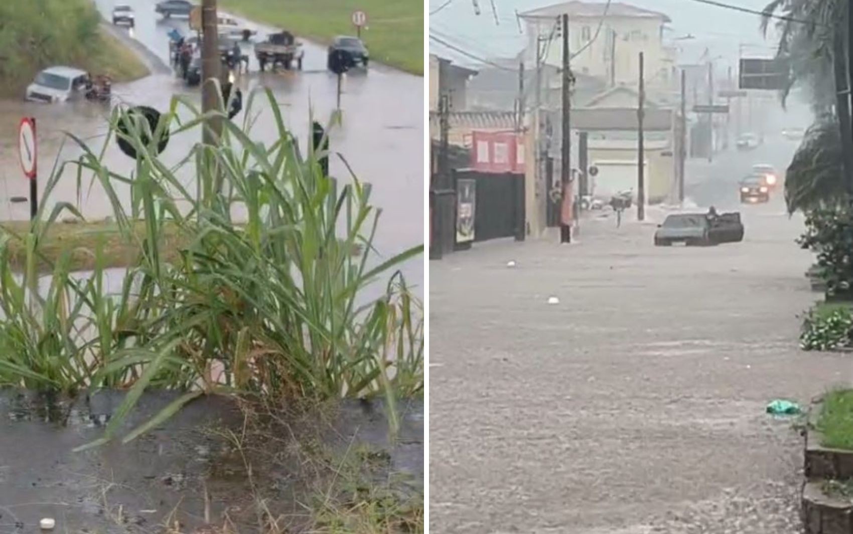 Chuva intensa alaga ruas e avenidas e deixa carros ilhados em Barretos, SP; veja lista de áreas afetadas
