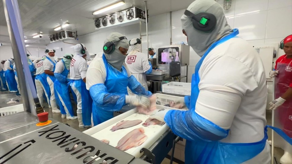 Produtores estão otimistas com a produção — Foto: Reprodução/TV TEM