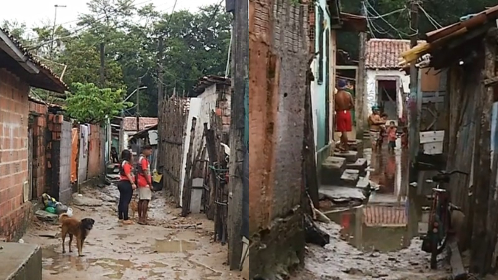 Chuvas alagam casas e deixam famílias indígenas desabrigadas em comunidade de Caucaia, na Grande Fortaleza