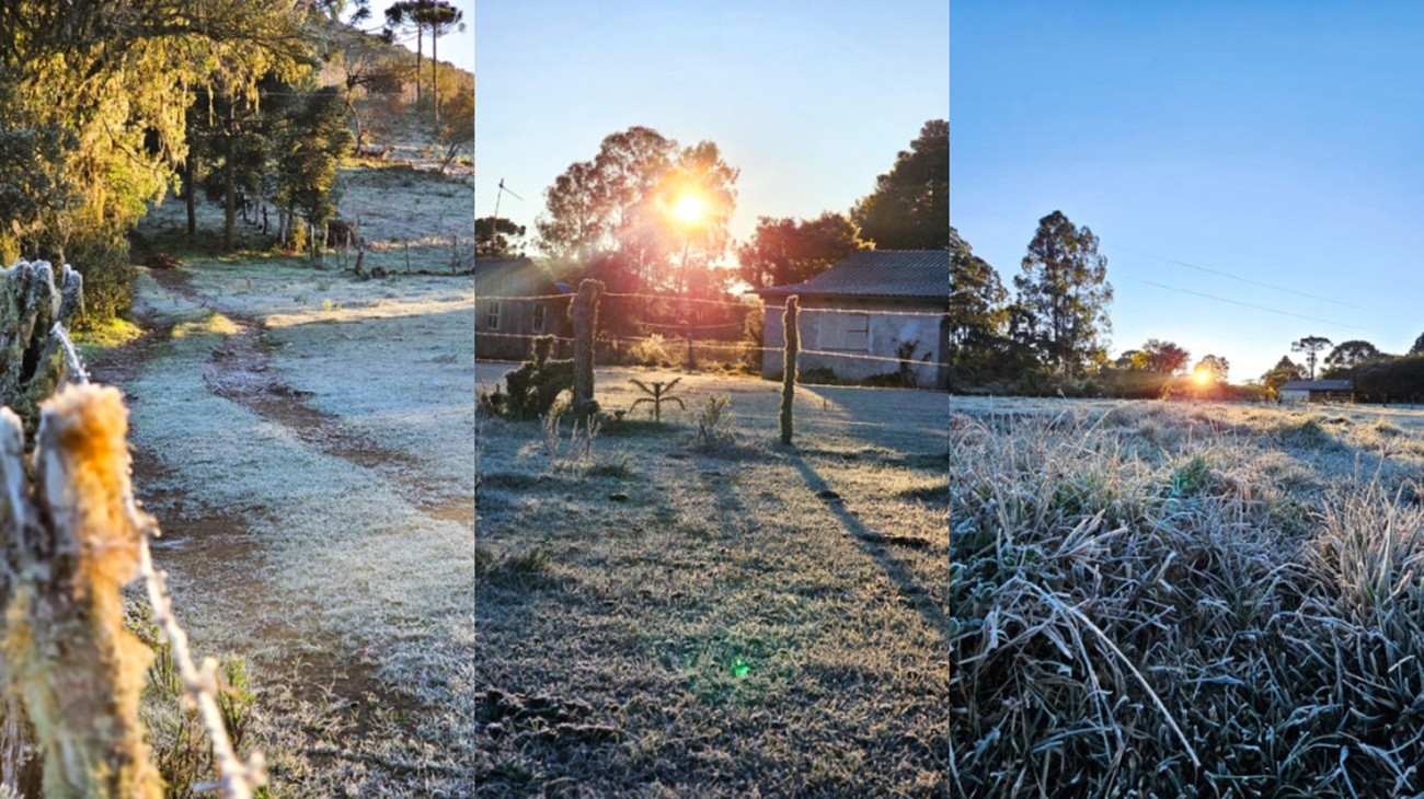 Vegetação coberta de gelo e mínima de -9°C marcam amanhecer na Serra de SC; VÍDEO