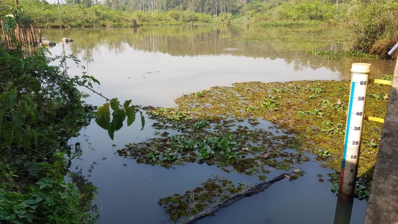 Rio Claro faz rodízio de água em vários bairros a partir deste sábado; veja como vai funcionar 