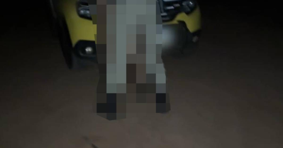 Policial militar do noroeste do Paraná é investigado após vídeo de sexo em capô de viatura