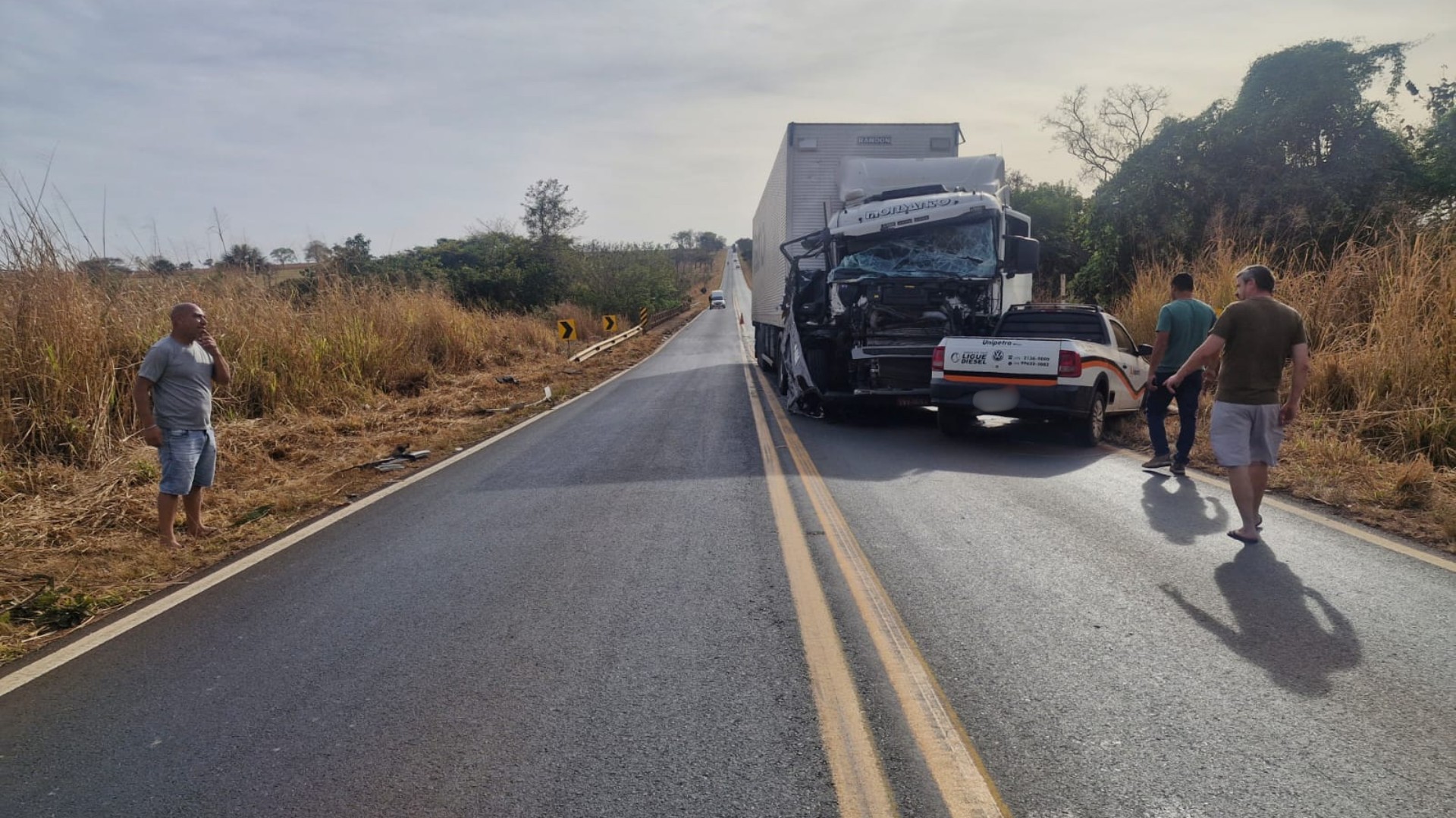 Ema morre após causar acidente ao atravessar rodovia em Uberlândia