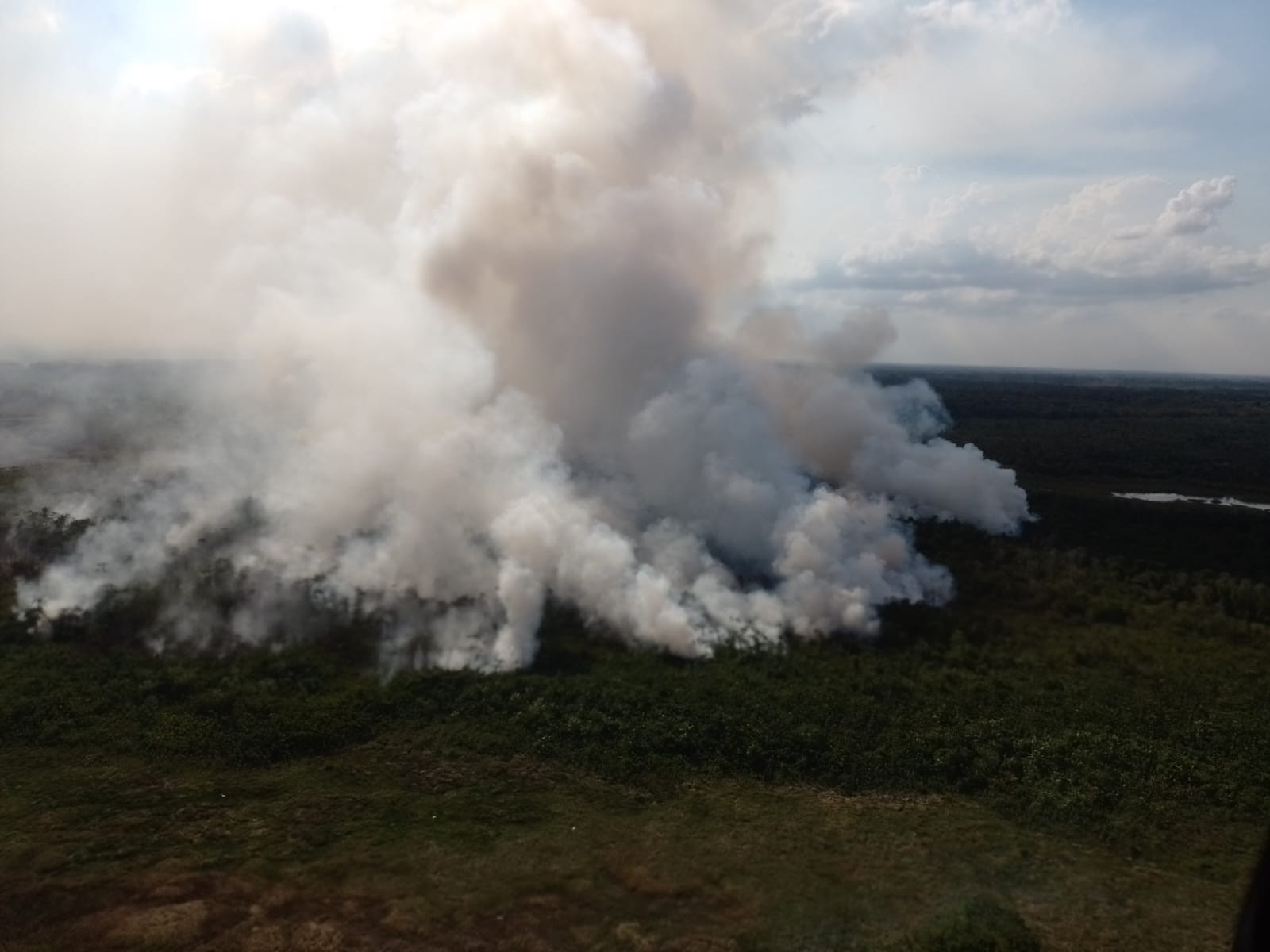 Incêndio consome 1,5 mil hectares de mata com açaí nativo e ameaça Reserva do Lago Piratuba, no AP