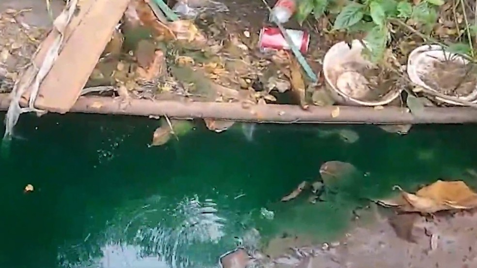 Pequenos agricultores relataram perda na produ&ccedil;&atilde;o ap&oacute;s contamina&ccedil;&atilde;o na &aacute;gua &mdash; Foto: Reprodu&ccedil;&atilde;o/TV Mirante