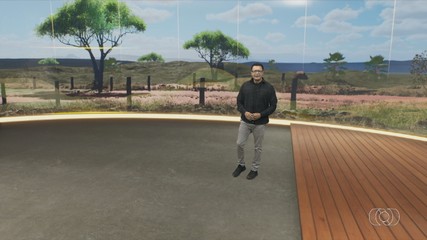 Confira os destaques do Jornal do Campo deste domingo (15)