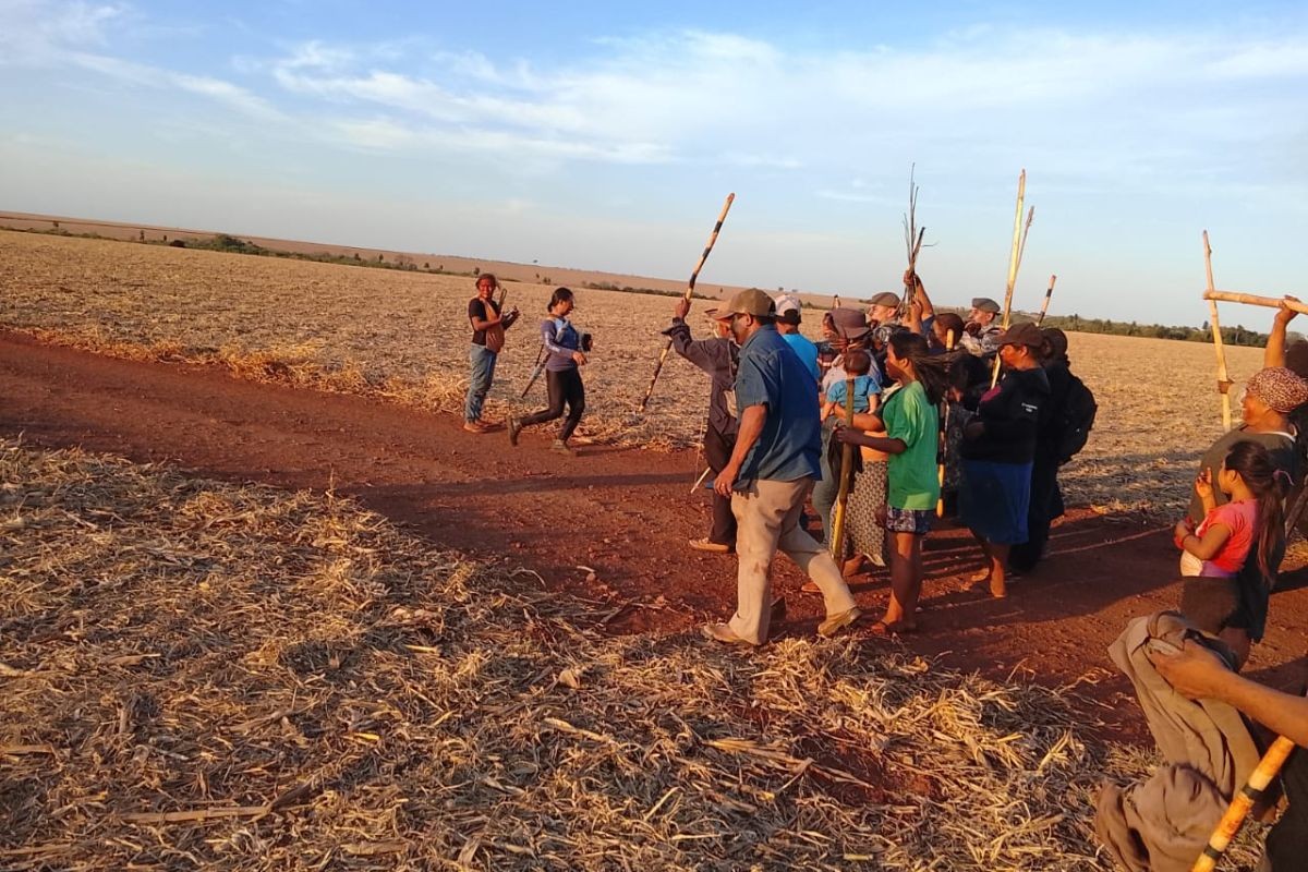 Tropa de Choque retira indígenas Guarani e Kaiowá após ocupação de fazenda em MS