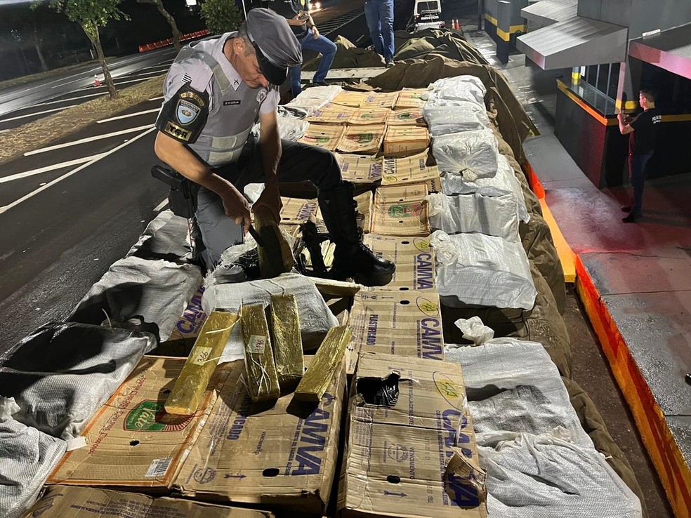 Polícias Rodoviária e Civil apreendem 2,5 toneladas de maconha, em Santa Mercedes (SP) — Foto: Polícia Rodoviária
