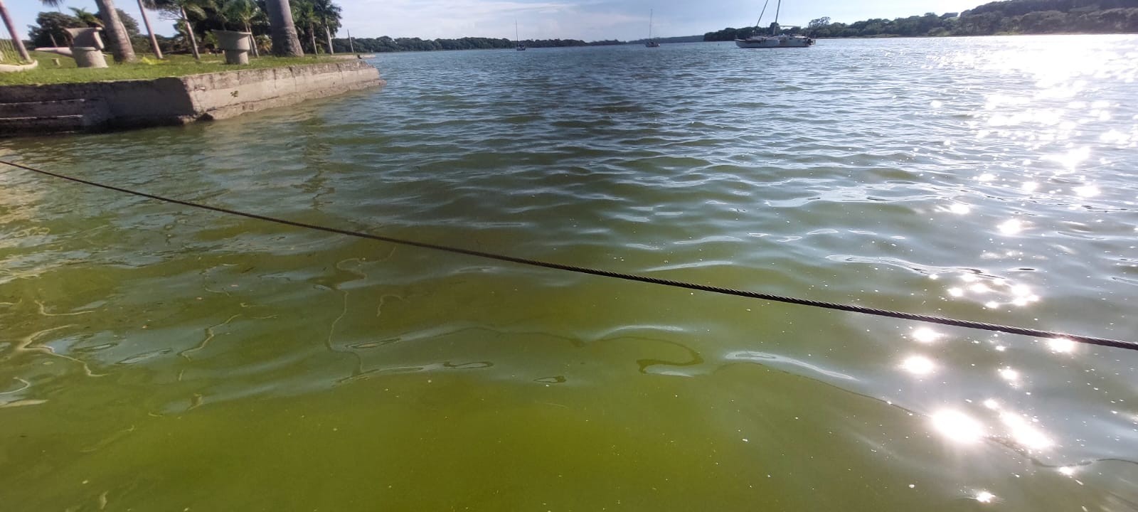 Trecho do Rio Tietê volta a ter coloração verde no interior de SP: 'Vira aquela sopa de ervilha', diz presidente de frente parlamentar 