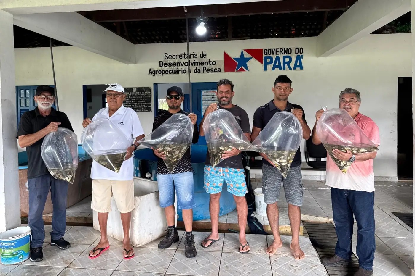 Sedap entrega 400 mil alevinos para piscicultores do oeste do Pará 