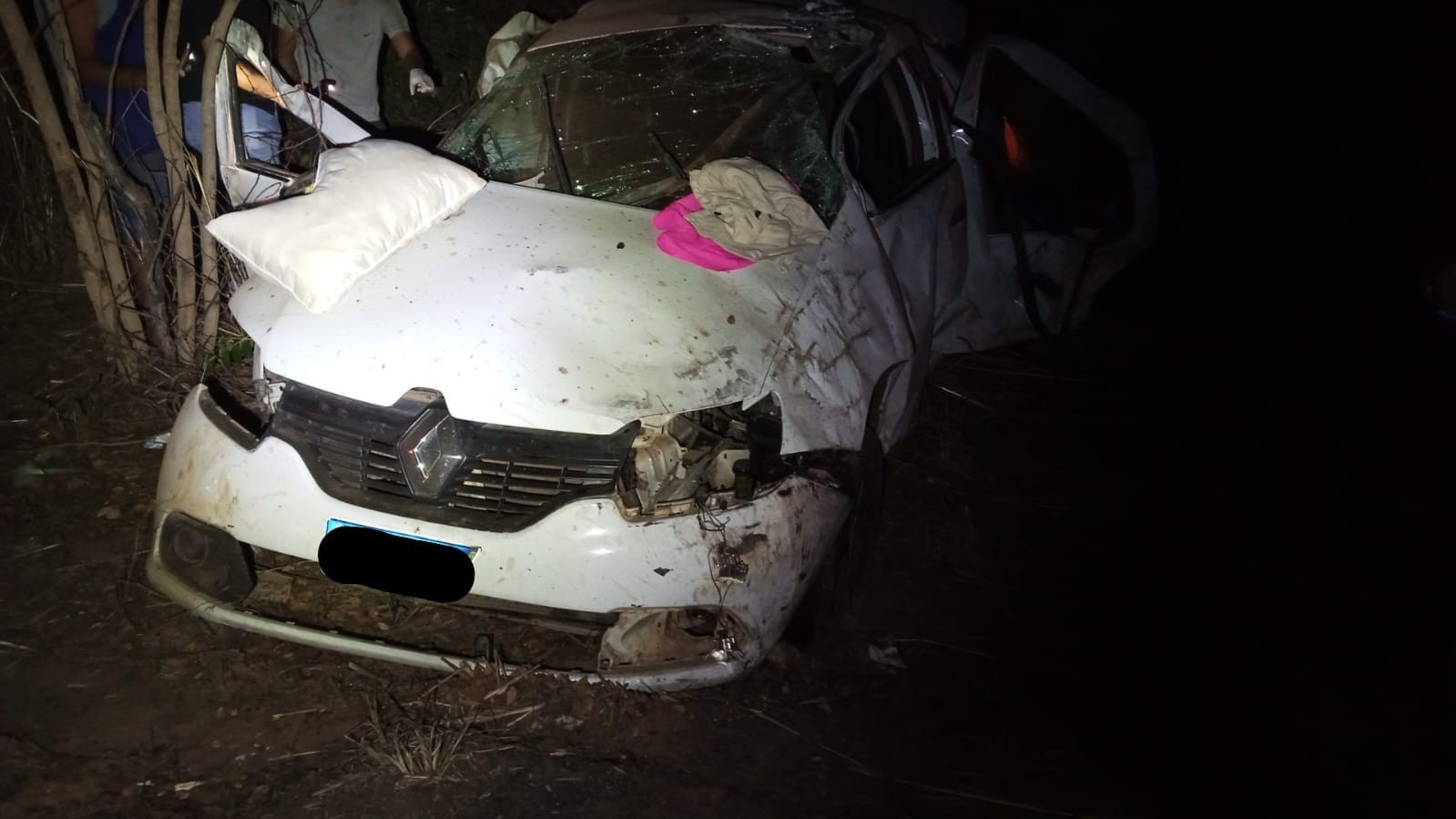 Criança de 8 anos morre e família fica ferida em capotamento na MGC-496