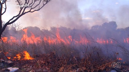 Tocantins registra mais de 4 mil focos de incêndio de janeiro a agosto de 2025