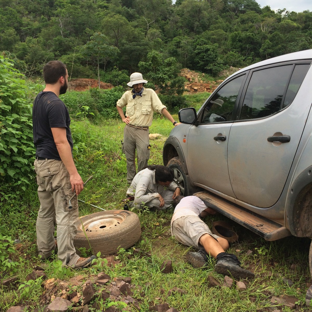 Pneu furado em estrada do PI leva a descoberta de réptil inédito da Era  Paleozoica, Piauí