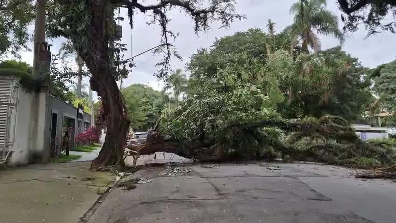 Chuva e vento forte provoca alagamentos, quedas de árvores e falta de luz em SP e no ABC