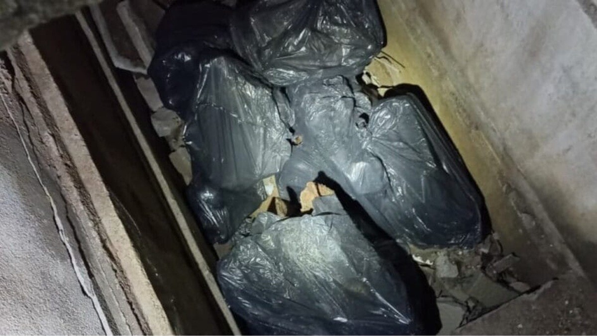 Homem é flagrado com crânio humano na mochila em noite de Halloween na Grande Florianópolis