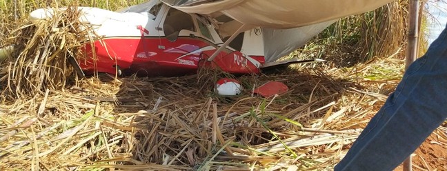 Avião fica danificado em canavial de União (PI) — Foto: Andrê Nascimento /g1
