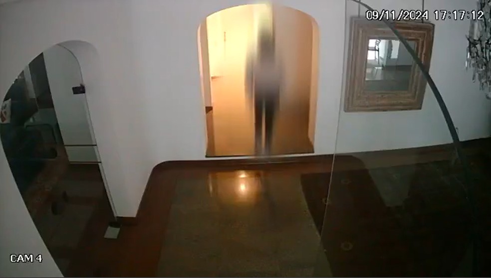 Adolescente de 17 anos é preso por invadir apartamentos de luxo — Foto: Reprodução/TV Globo